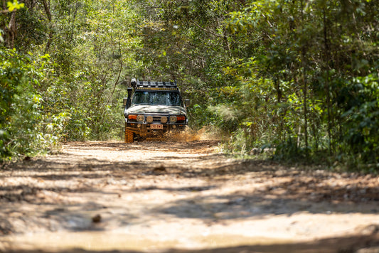 Forestry Road