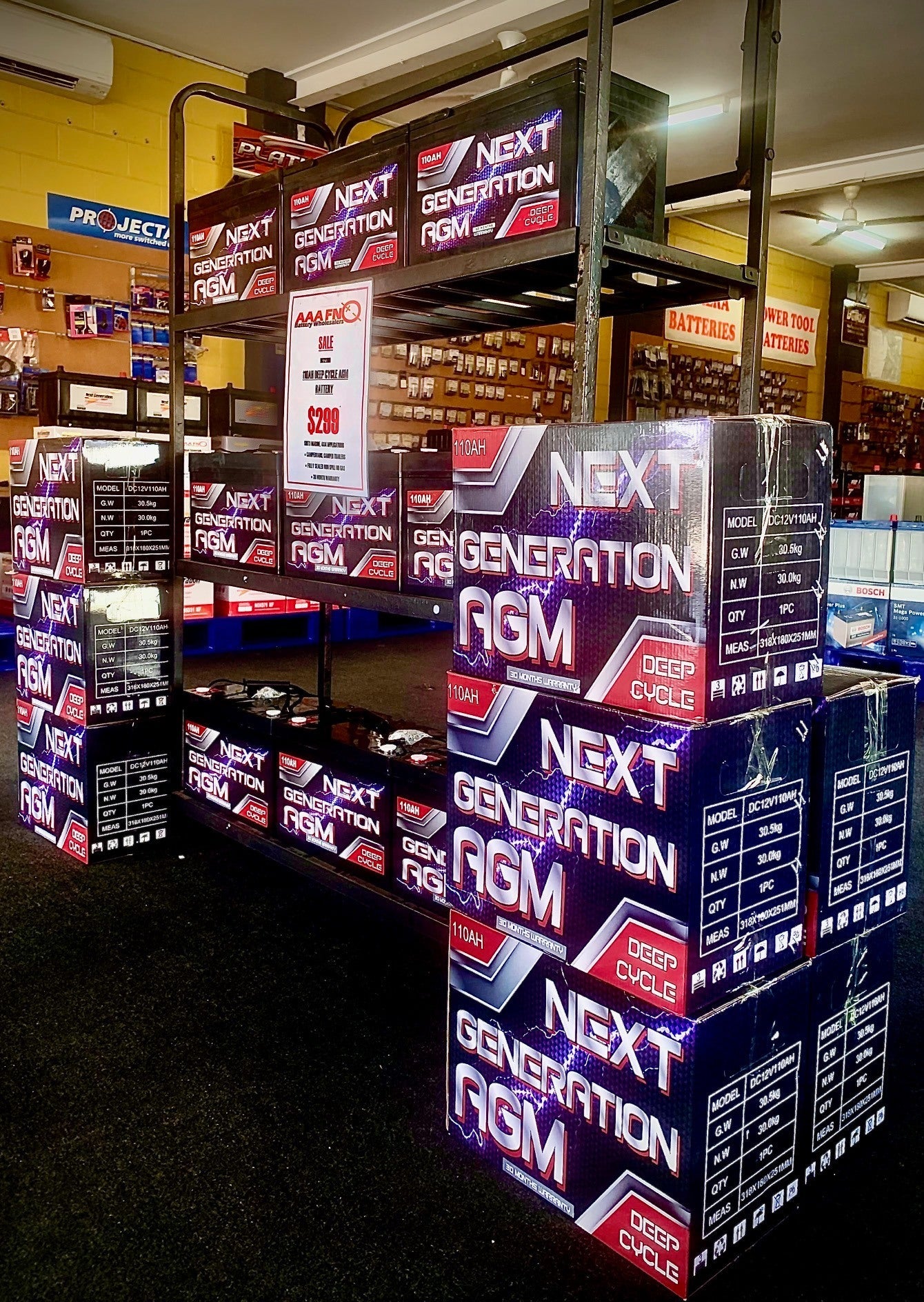 Next-Generation AGM Deep Cycle Battery 12v 110AH