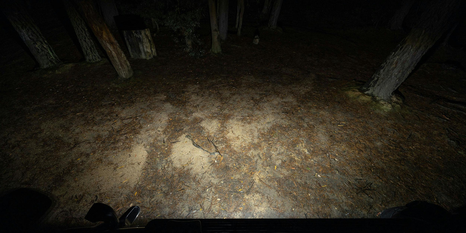 Micro V2 7.8 Inch 12 LED Flood Light (5700K) - View 6