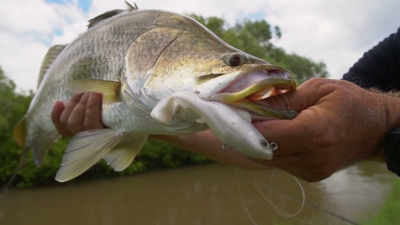 Z-Man Fishing