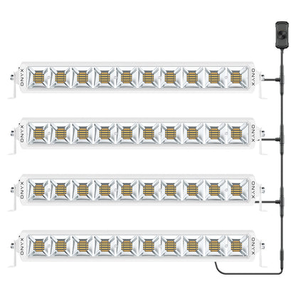 XEN-BL22 (4 PACK)