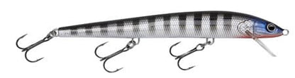 Bagley Minnow B 05 3/8Oz 5"