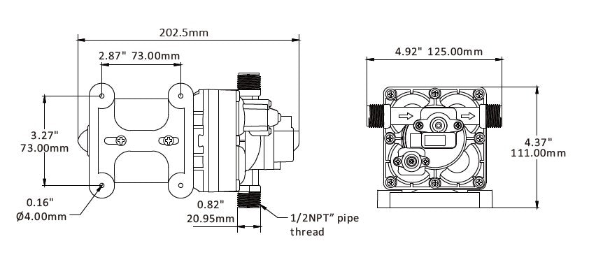 SeaFlo RV Supreme 55psi/9.5LMP 12V Water Pump c/w Filter & Fittings