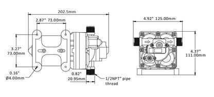 SeaFlo RV Supreme 55psi/9.5LMP 12V Water Pump c/w Filter & Fittings