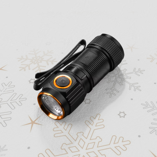 FX1000 LED Torch - View 2